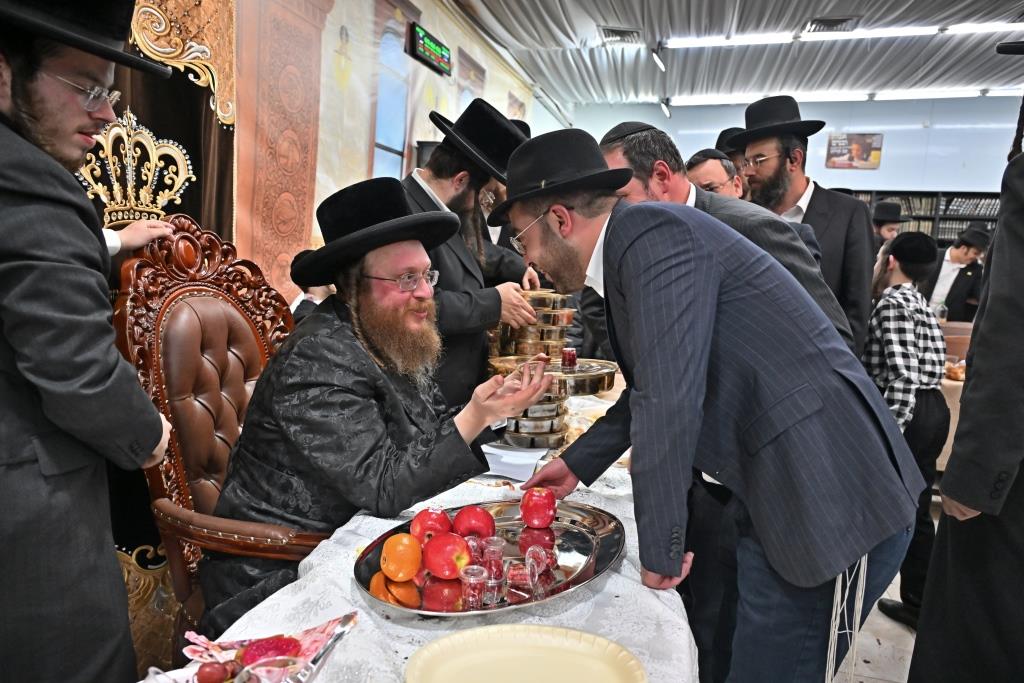 ט"ו בשבט בחצה"ק ספינקא בית שמש