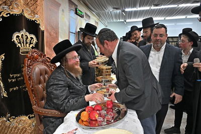 ט"ו בשבט בחצה"ק ספינקא בית שמש