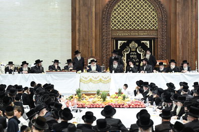 ט"ו בשבט בחצה"ק צאנז