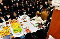 האדמו"ר מתורת חכם בטיש ט"ו בשבט