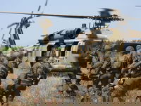 העיניים של המדינה: יחידת שחף מחסלת את שיקום חיזבאללה | צפו