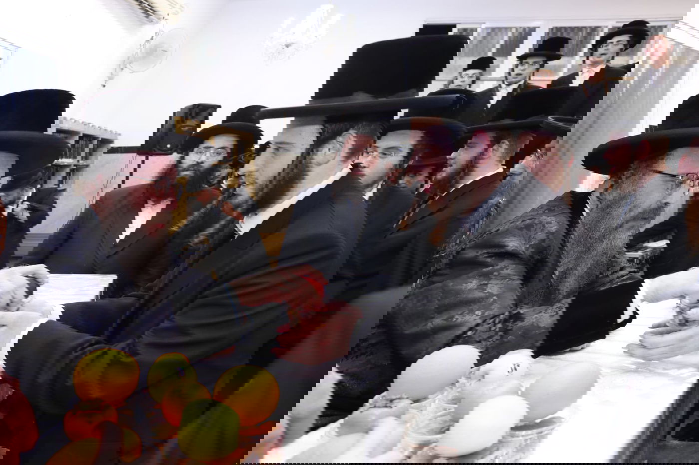 ט"ו בשבט בחצה"ק ביאלה בית שמש