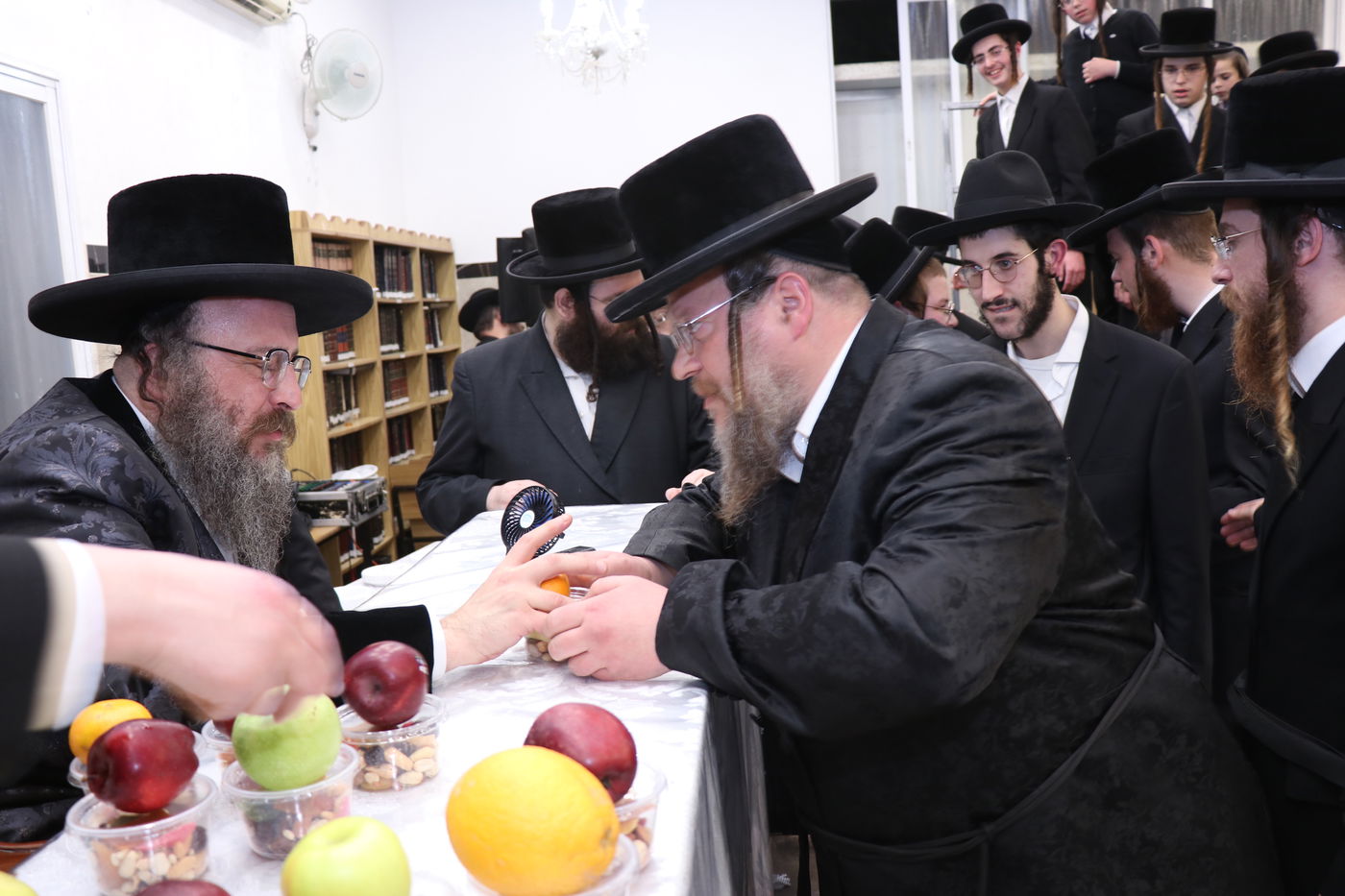 ט"ו בשבט בחצה"ק ביאלה בית שמש