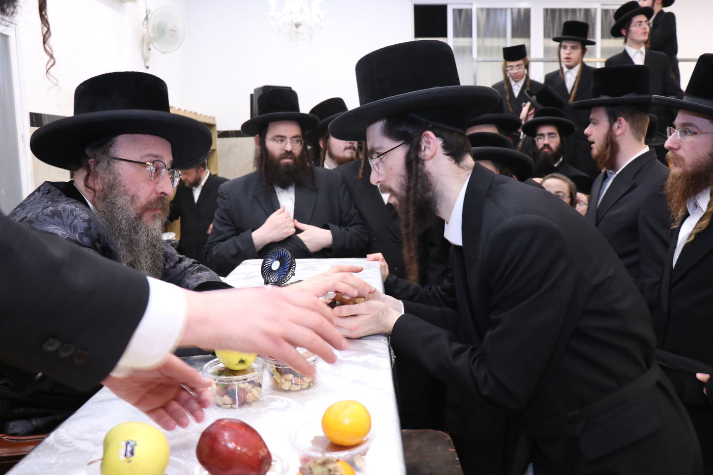 ט"ו בשבט בחצה"ק ביאלה בית שמש