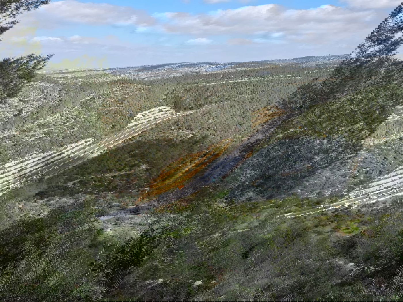 החסימות בכביש 1