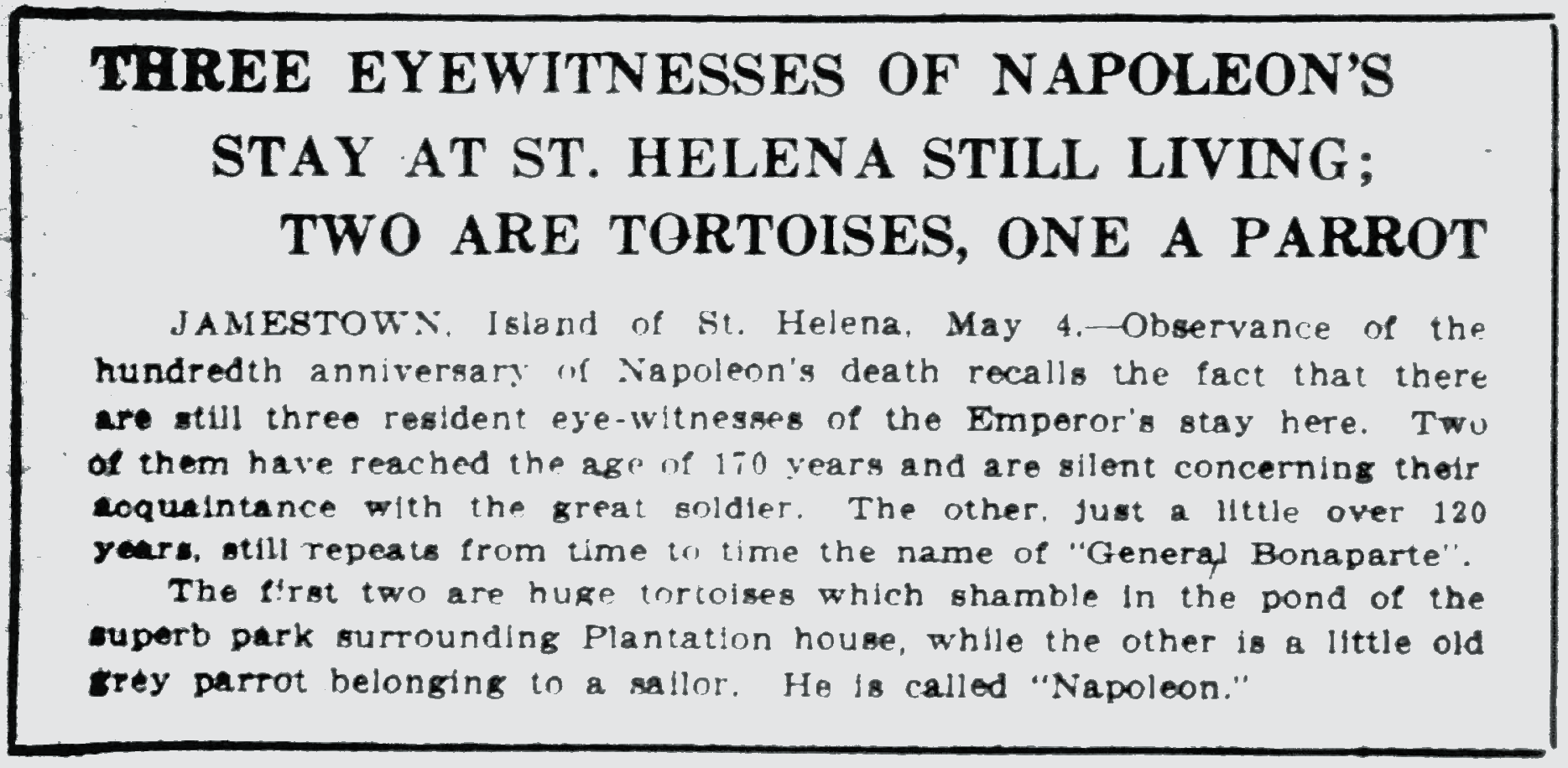 דיווח עיתונאי על ג'ונתן וצב נוסף שאיתו בבית המטעים, 1921.