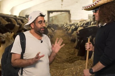 יוסי יוצא לשטח לקנות פרה - והתיעוד שהודלף מחצרו של הרב ה'ינוקא' • צפו