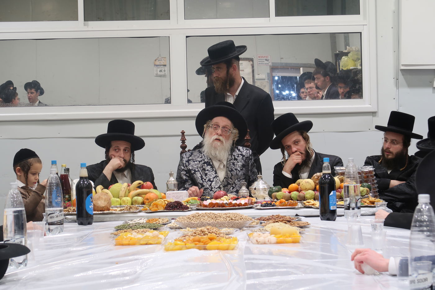 ט"ו בשבט בשאץ דרוהביטש