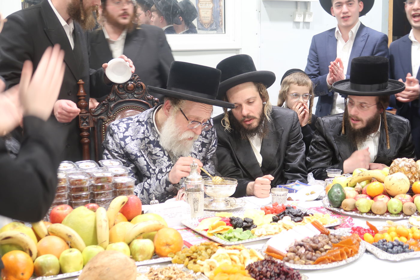 ט"ו בשבט בשאץ דרוהביטש