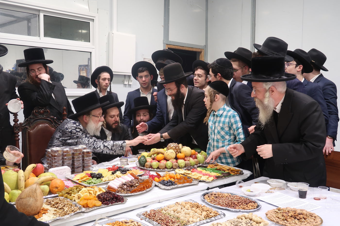 ט"ו בשבט בשאץ דרוהביטש