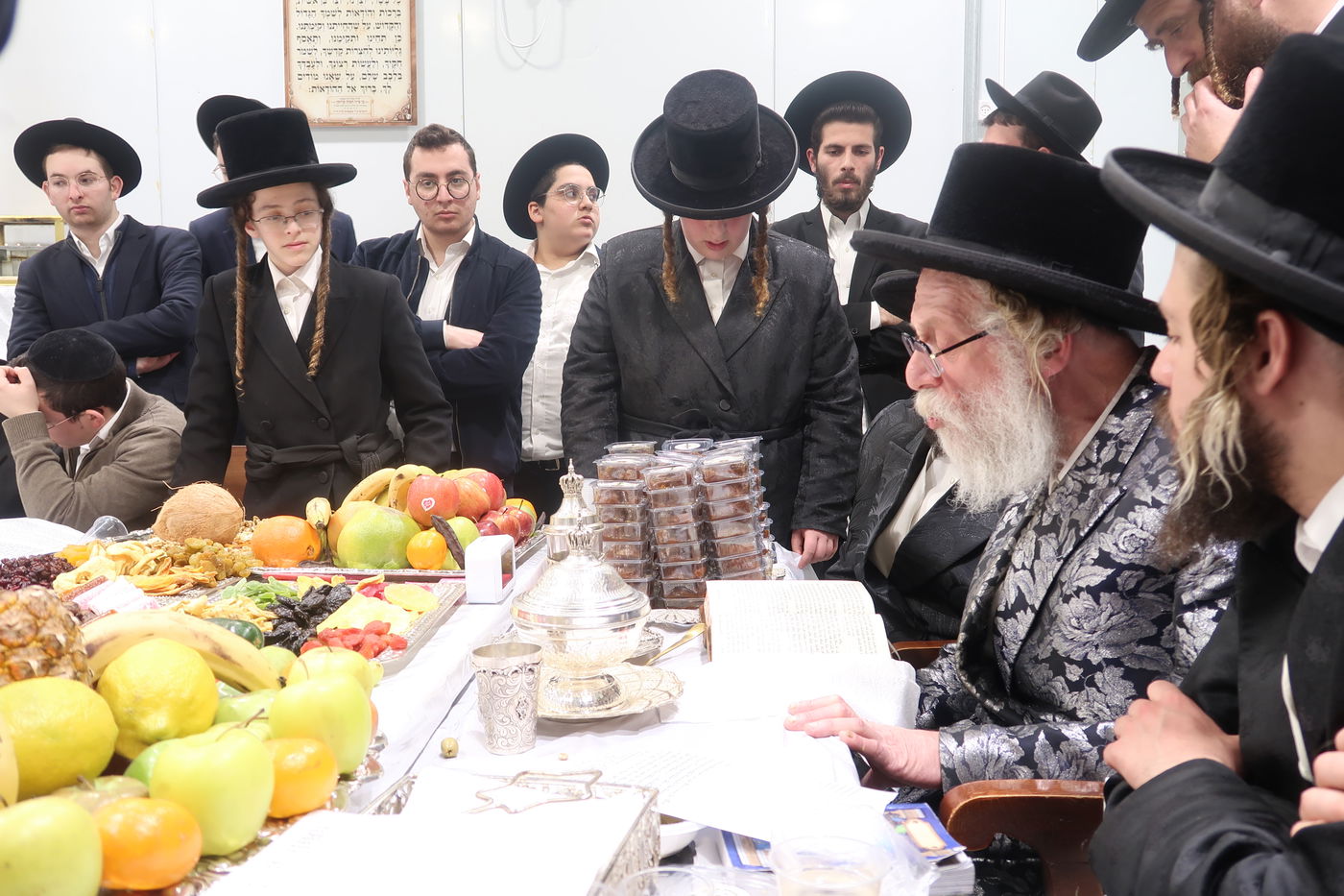 ט"ו בשבט בשאץ דרוהביטש