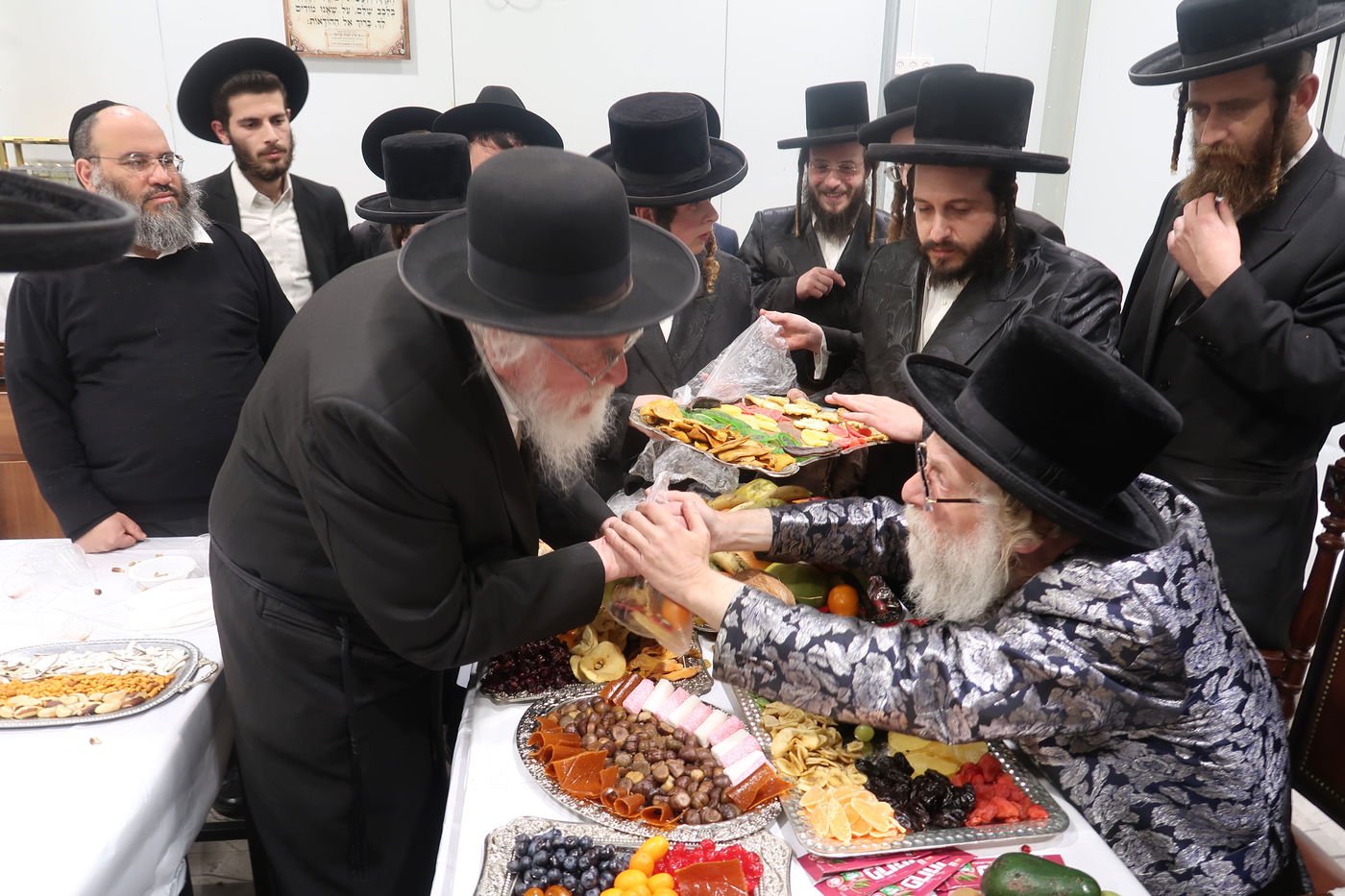 ט"ו בשבט בשאץ דרוהביטש