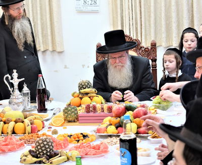 ט"ו בשבט בחצה"ק בערגסאז 