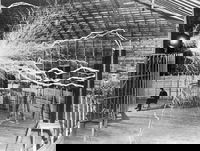 טסלה לצד ההמצאה שלו- סליל טסלה