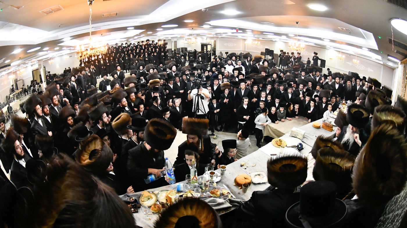 שמחת בית ספינקא - צאנז