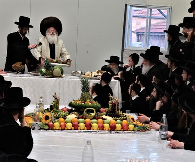 ט"ו בשבט בחצה"ק נדבורנה ירושלים