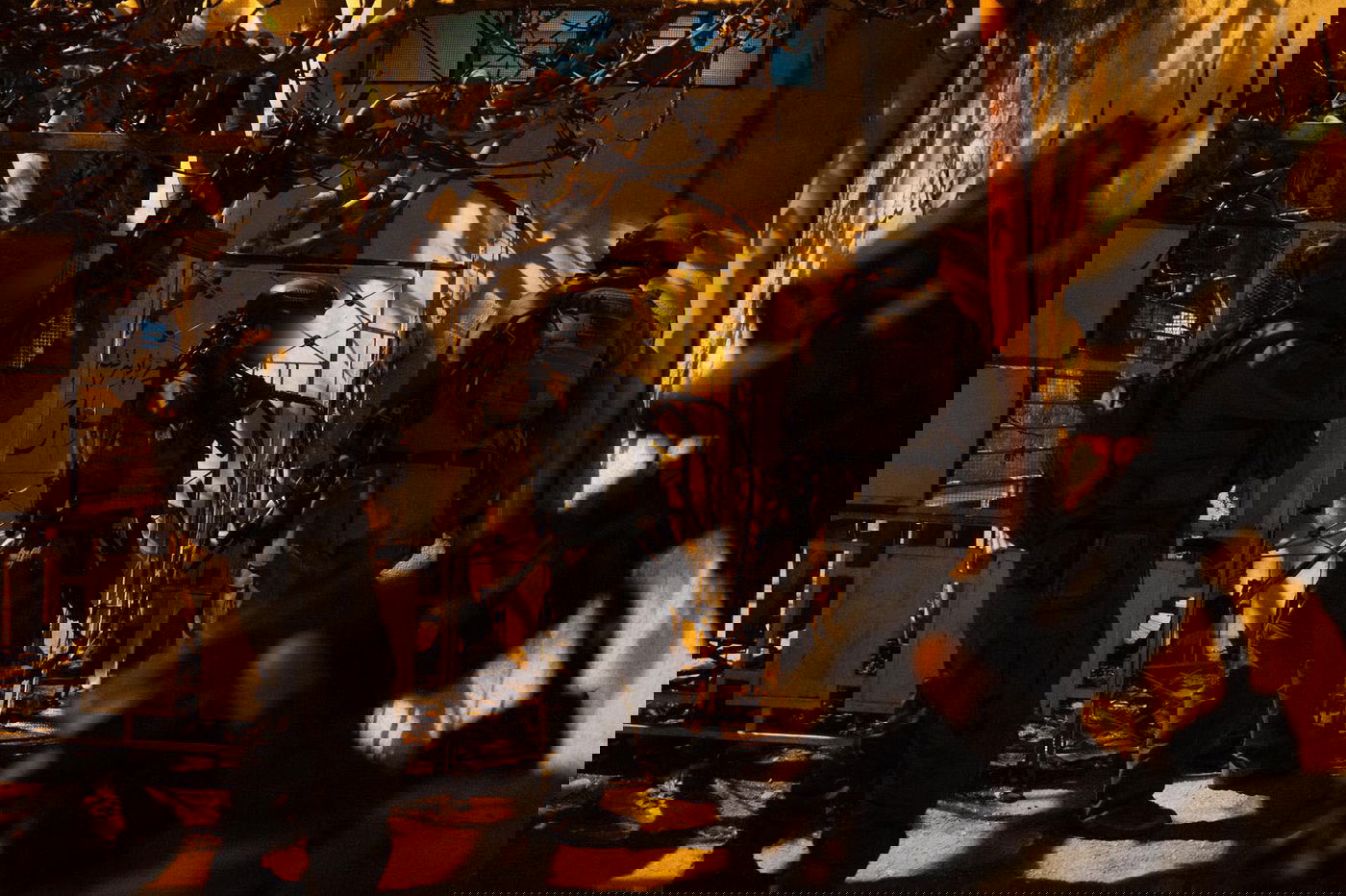 סיכול טרור נרחב ביהודה ושומרון: כ-60 מבוקשים נעצרו, שישה כלי נשק נתפסו