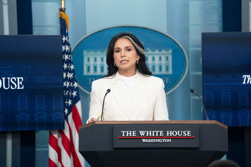 ראש המודיעין של ארה"ב טולסי גבארד