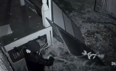 אוסף עצים מחוץ למבנה