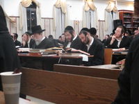 האדמו"ר מבאיאן בלימוד בהיכל הישיבה