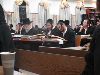 האדמו"ר מבאיאן בלימוד בהיכל הישיבה