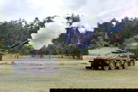 9 פגזים בדקה: טכנולוגיה ארטילרית מתקדמת