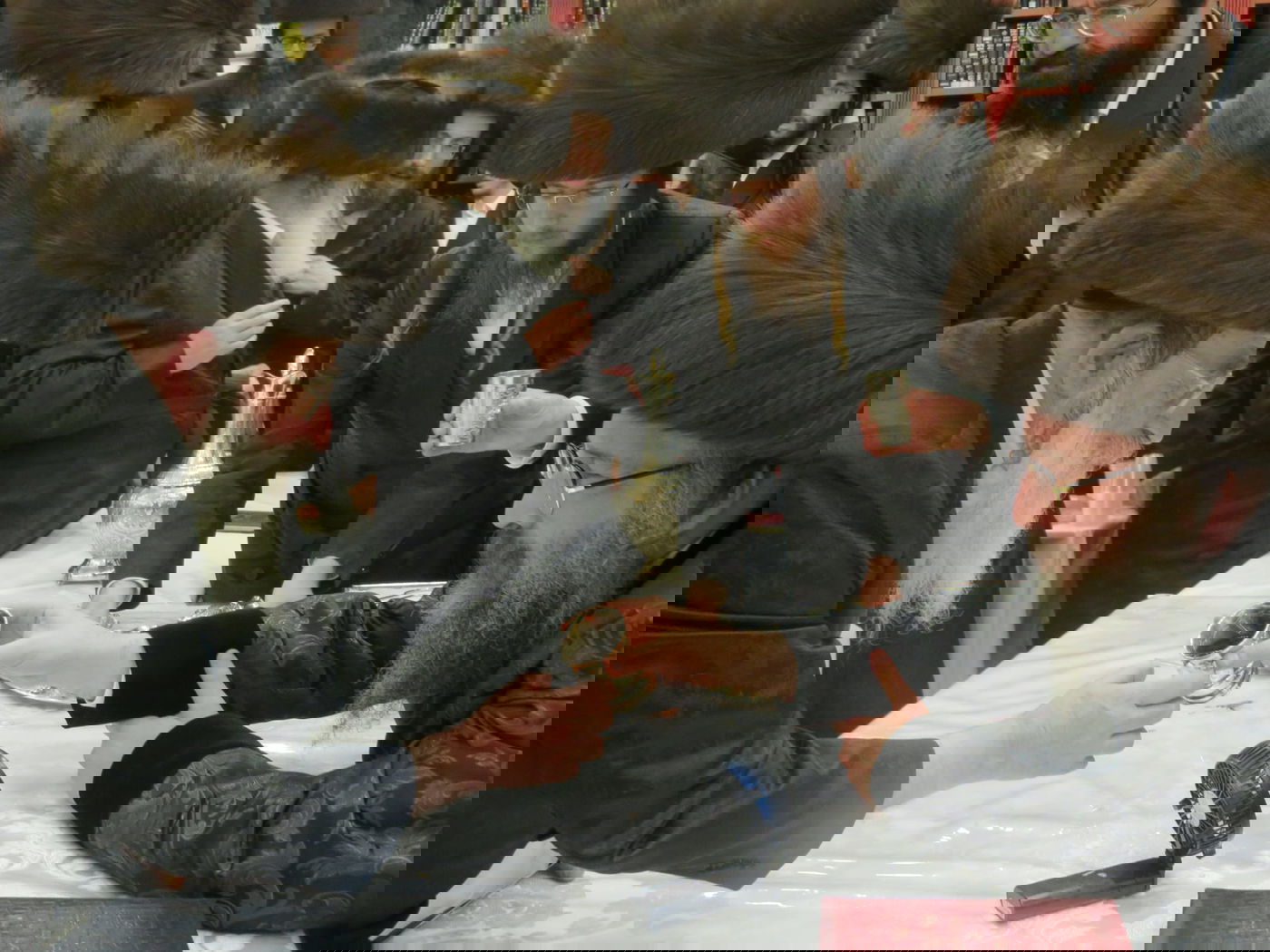 הילולא קדישא בביאלה בית שמש