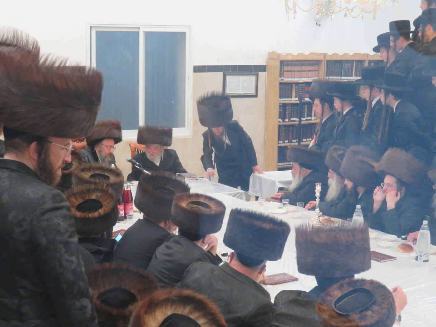 הילולא קדישא בביאלה בית שמש