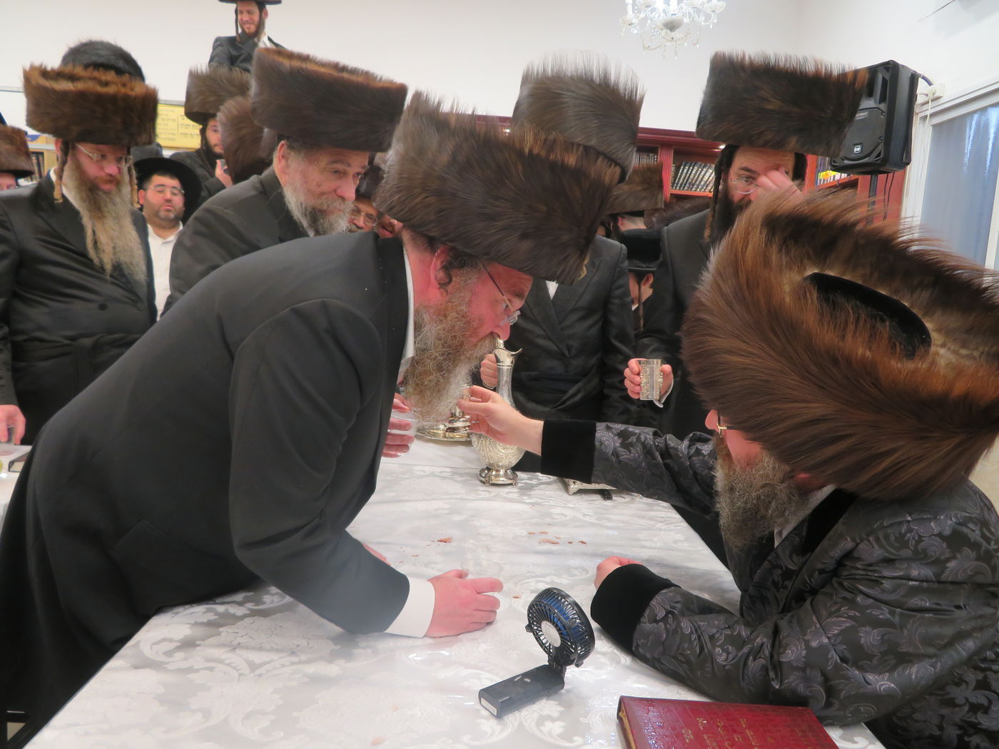 הילולא קדישא בביאלה בית שמש