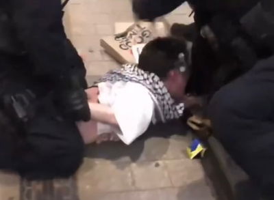 "עזוב לו את היד": המפגין הפרו פלסטיני השתולל ונשך שוטר שוב ושוב