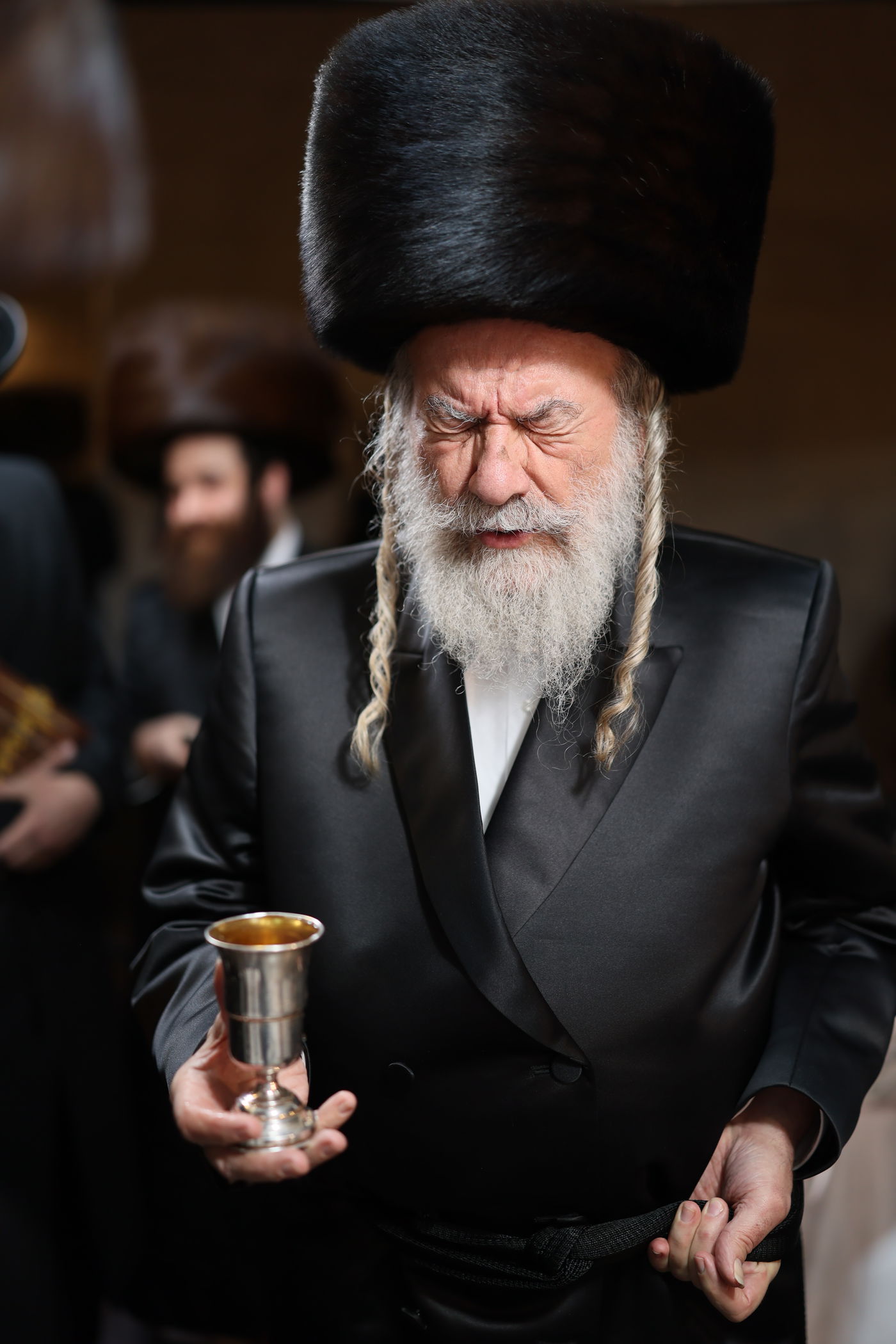 שמחת בית סטרעטין - זוועהיל - אשלג