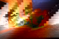 התרגיל הגדודי הראשון של חטיבת החשמונאים ברמת הגולן