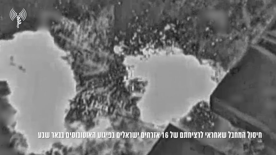 תיעוד החיסול