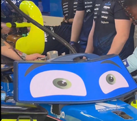 עיניים על המסלול: מכונית פורמולה 1 עם הבעה כבשה את המעריצים