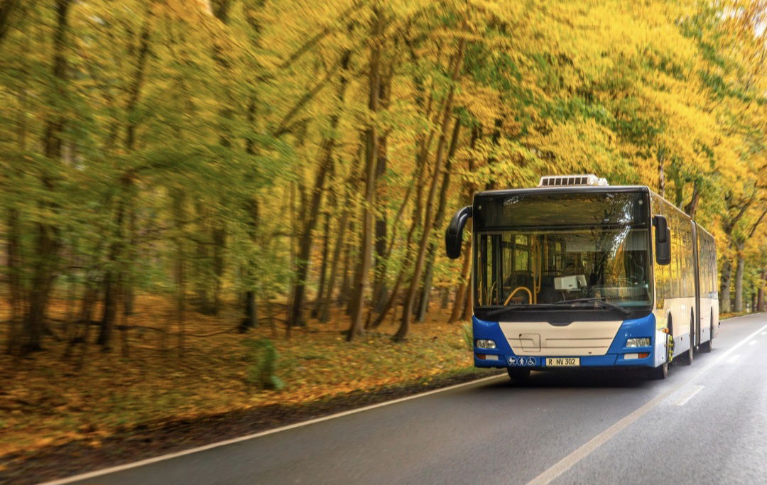 תחבורה ציבורית