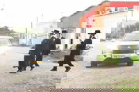 האדמו"ר משומרי אמונים בביקור בעמנואל