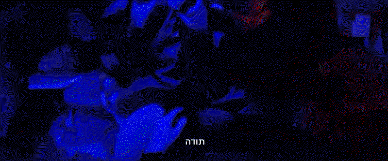"יש לי פה שני יהלומים": שנתיים אחרי, נחשף תיעוד חדש מחילוץ החטופים