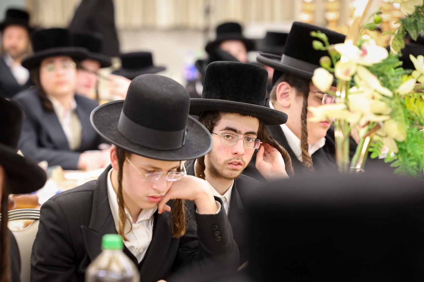 מעמד כבוד התורה בביאלה בני ברק