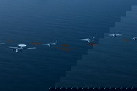 מטוסי צבא ארה"ב בגיחה באזור