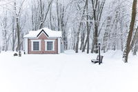 התחלת כתיבת ס"ת בעיר קלינינגרד שבין פולין לליטא 