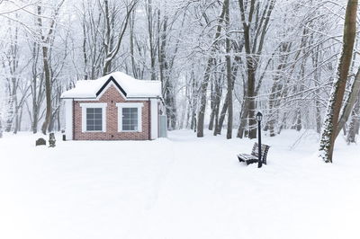 התחלת כתיבת ס"ת בעיר קלינינגרד שבין פולין לליטא 