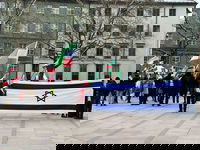 דגל ישראל ענק בקהל