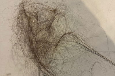 השירות שנתלשו