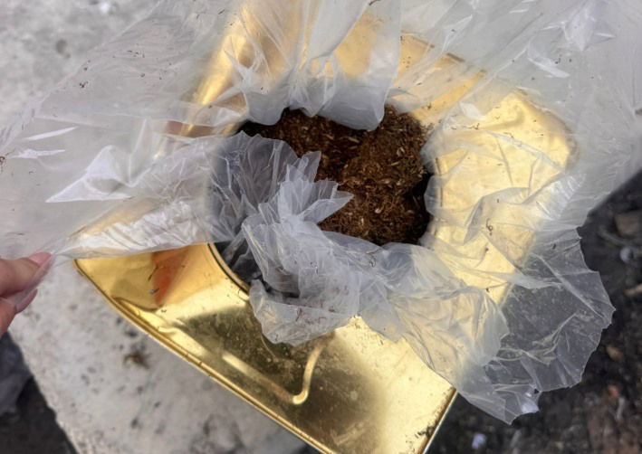 הטבק בתוך הקופסה