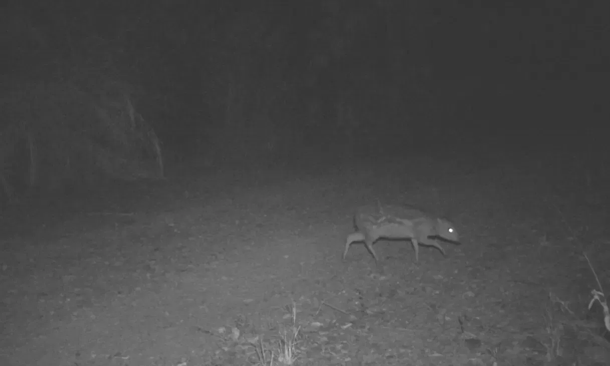 אייל עכרי כפי שנתפס בעדשת מצלמת האבטחה