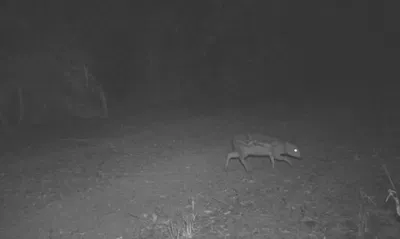 אייל עכרי כפי שנתפס בעדשת מצלמת האבטחה