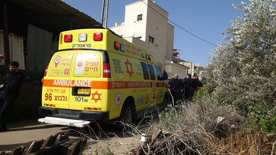 זירת הרצח, הבוקר