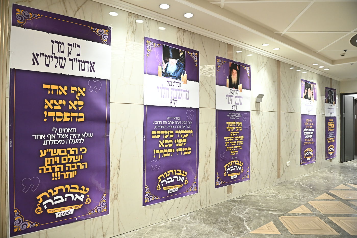 הילולא קדישא בשבט הלוי