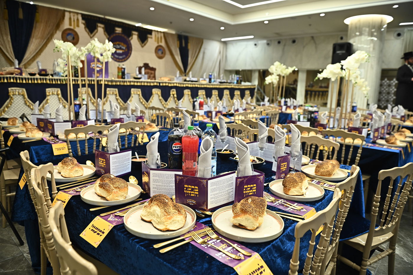 הילולא קדישא בשבט הלוי