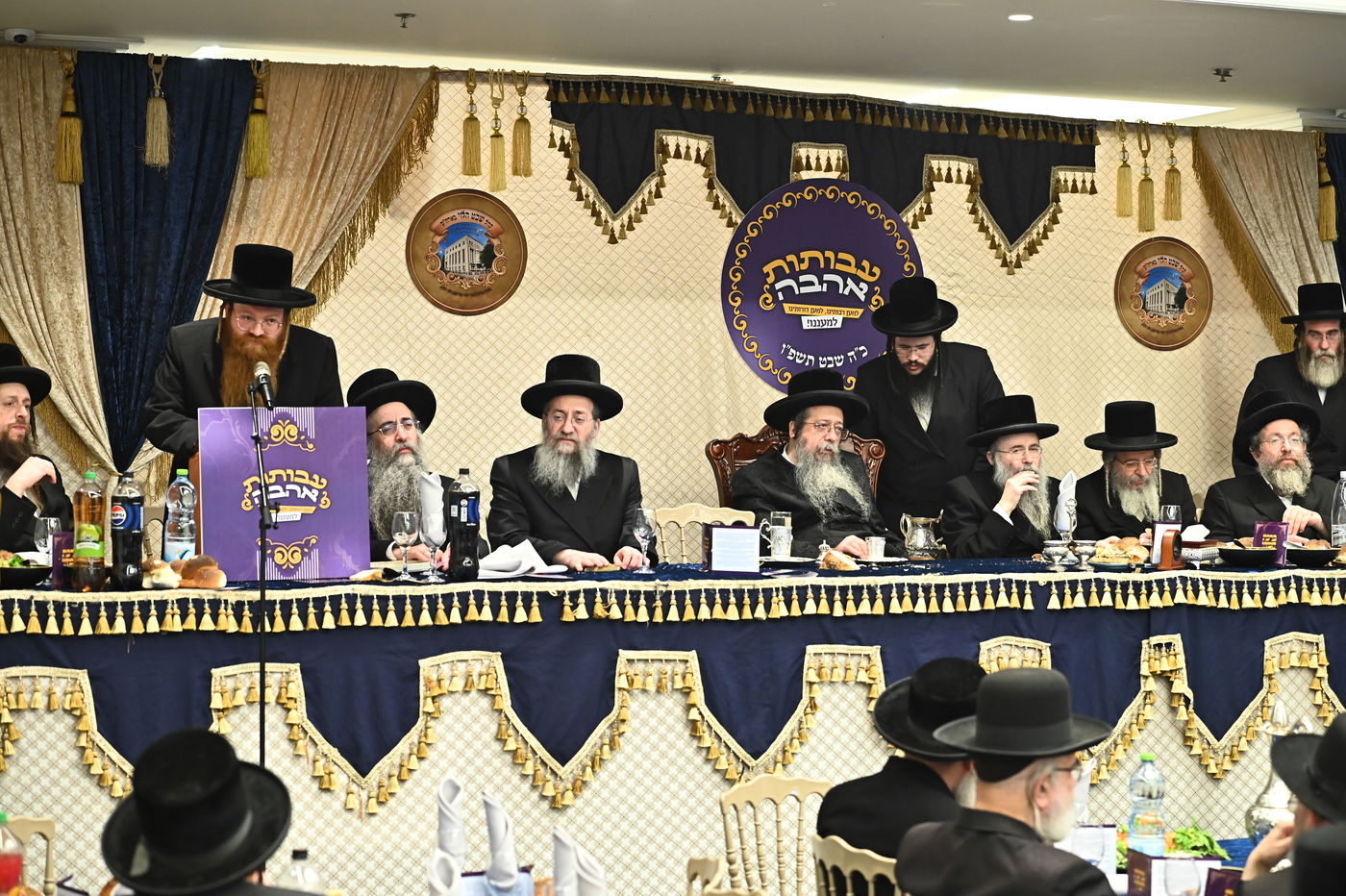 הילולא קדישא בשבט הלוי